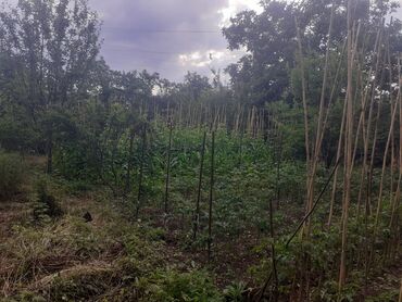 Torpaq sahələrinin satışı: 6 sot, Tikinti, Makler, Kupça (Çıxarış) — 4