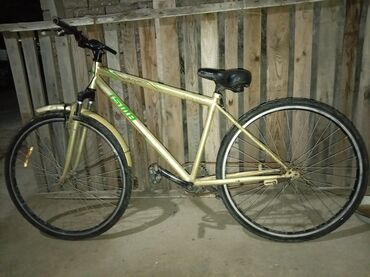 qaçış aparatı qiyməti: Şəhər velosipedi Isma, 28", sürətlərin sayı: 1