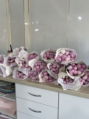 соль техническая цена в бишкеке: Пионы- Сара бернар оптом от 10 шт 160 сом, только сегодня 3 июля🔥🔥🔥