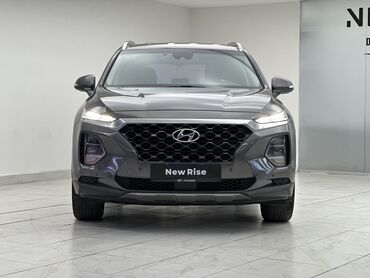 santa fe 2008: Hyundai Santa Fe: 2019 г., 2 л, Автомат, Дизель, Кроссовер