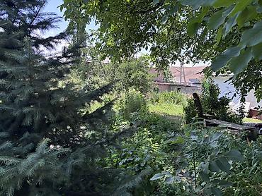 Жер тилкелери: 9 соток — 2