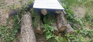 Дрова: Дрова Карагач, Самовывоз — 8