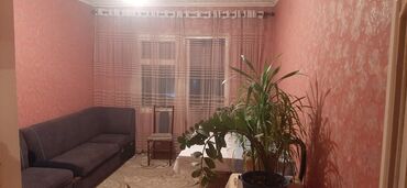 снять квартиру в беловодске луганской области: 2 комнаты, 52 м², Индивидуалка, 2 этаж