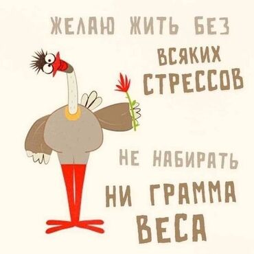 массаж салон ош: Массаж | Детский, Спортивный, Лечебный | Холка на шее, Подвывих сустава, Кифос, лордоз | Консультация