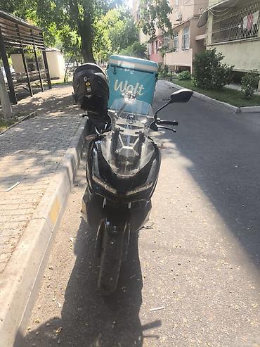 dayun motor: - Dayun DY2, 200 sm3, 2024 il, 65000 km — 4