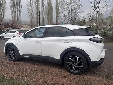 Tesla: Tesla : 2022 г., Электромобиль, Кроссовер — 6