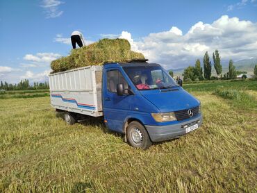 сапог мерс бартовой: Грузовик, Mercedes-Benz, Стандарт