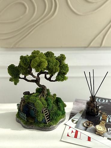 Другой декор и предметы интерьера: Декоративное дерево бонсай, выполненное из стабилизированного мха — 22