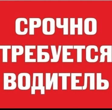 работа бишкек разнарабочий: Талап кылынат Атайын техника оператору, Төлөм Күнүмдүк