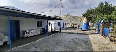 Kommersiya daşınmaz əmlakının satışı: Ferma/Təsərrüfat sahəsi - Tamamilə hasarlanmış geniş həyət, metal tor — 5
