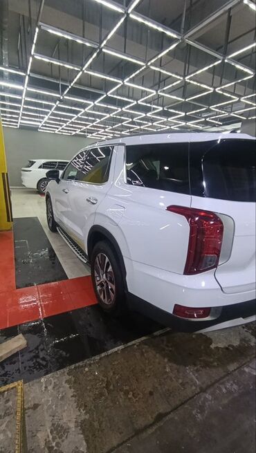 Hyundai: Hyundai Palisade: 2019 г., Кроссовер — 8