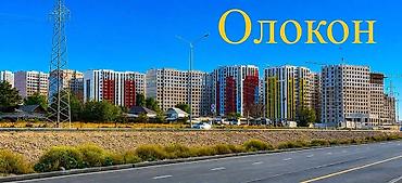 500: 1 комната, 54 м², Селекционное с. Элитка, 15 этаж, Свежий ремонт — 6