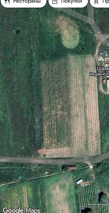 50: 50 соток, Для сельского хозяйства, Договор купли-продажи — 2