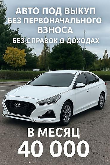 sonata 2012: Hyundai Sonata: 2020 г., 2 л, Автомат, Газ, Седан — 1
