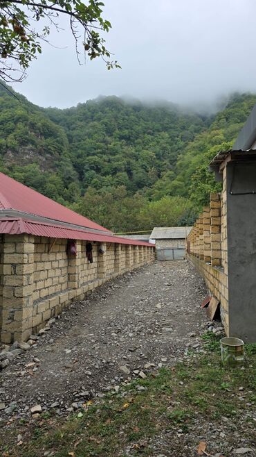 продается земельный участок: 5 sot, Biznes üçün, Mülkiyyətçi, Kupça (Çıxarış)