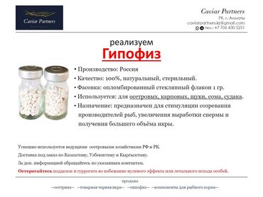 Рыбы: Реализуем высококачественный гипофиз. Предоставляем полный пакет