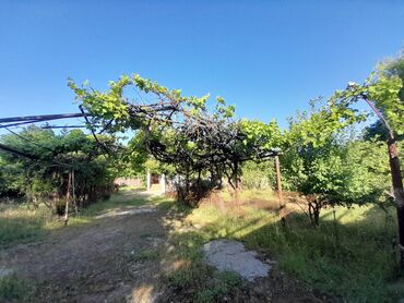 Həyət evləri və villaların satışı: 3 otaqlı, 140 kv. m, Orta təmir — 2