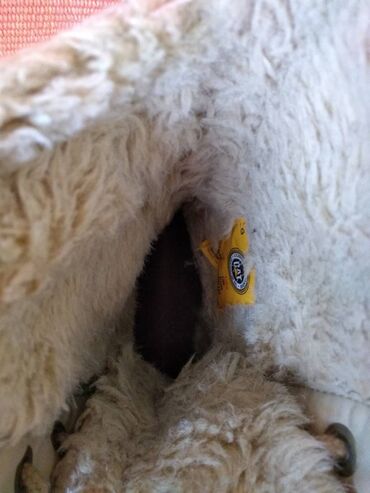 Čizme: Čizme, Caterpillar, 39 — 5