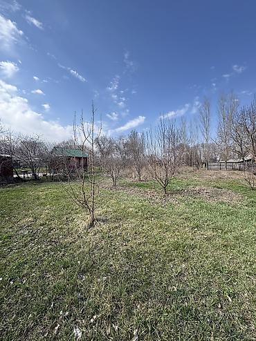 Продажа коттеджей и домов: ✨Продаётся дом в с. Сокулук✨ 🏡Характеристики: • Участок - 15 соток • at lalafo.kg — 6 Продажа коттеджей и домов: ✨Продаётся дом в с. Сокулук✨ 🏡Характеристики: • Участок - 15 соток • — 6