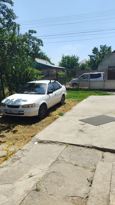 runx alex: Toyota Corolla: 1998 г., 1.5 л, Автомат, Бензин, Седан