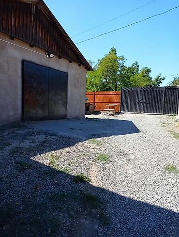 кадди сай: Продается живой бизнес — 10