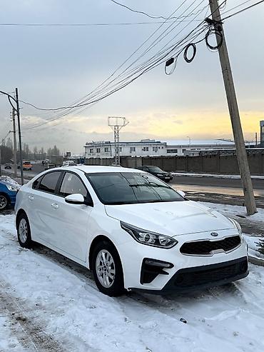 Kia: Kia K5: 2020 г., 2 л, Автомат, Газ, Седан — 15