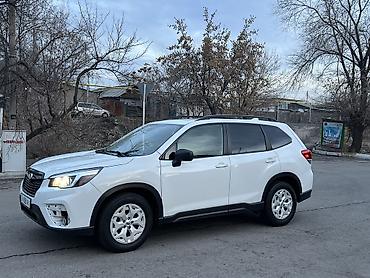 туманник: Subaru Forester: 2019 г., 2.5 л, Автомат, Бензин, Кроссовер — 5