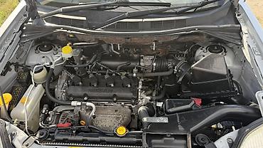 продаю венту: Nissan X-Trail: 2003 г., 2 л, Автомат, Бензин, Кроссовер — 3