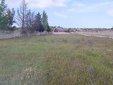 nardaranda torpaq: 21 sot, Tikinti, Mülkiyyətçi, Kupça (Çıxarış) — 1