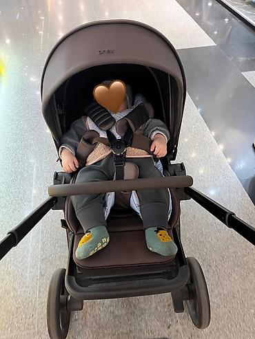 Коляски: Коляска «Anex flo»
Цвет кофе/коричневый — 25