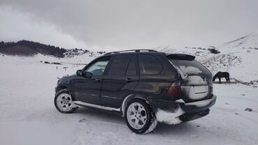 карбон для авто: BMW X5: 2002 г., 3 л, Типтроник, Бензин, Кроссовер