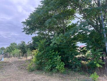 Torpaq sahələrinin satışı: 15 sot, Tikinti, Mülkiyyətçi, Kupça (Çıxarış) -da lalafo.az — 8 Torpaq sahələrinin satışı: 15 sot, Tikinti, Mülkiyyətçi, Kupça (Çıxarış) — 8