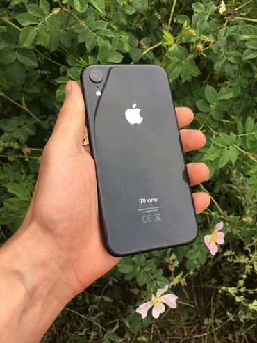 dt800 набор apple: IPhone Xr, Б/у, 64 ГБ, Черный, Защитное стекло, Чехол, 79 %