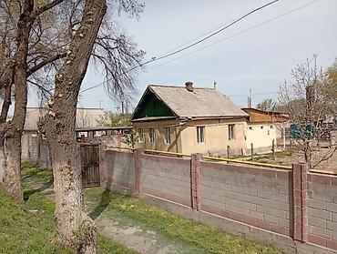 Продажа коттеджей и домов: Дом с участком - Одноэтажный дом с крыльцом и навесом, капитальный — 12