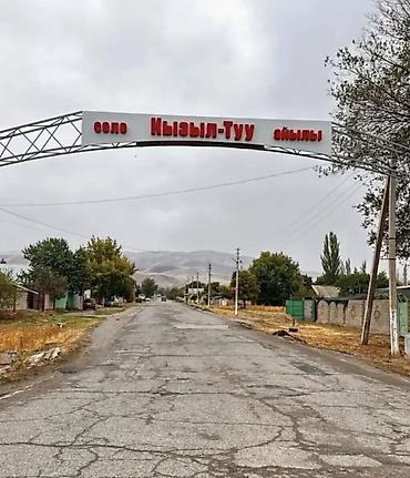 Продажа участков: 22 соток, Красная книга — 5