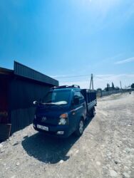 рассада помидоров купить: Портер такси Портер такси Портер такси Портер такси,„ Портер такси