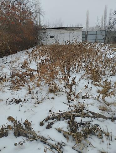 Продажа участков: 5 соток, Для сельского хозяйства, Красная книга — 4