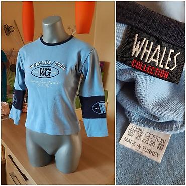 cipele teget: Whales Collection ženska majica “Whales Girl” (WG) - Boja — 1