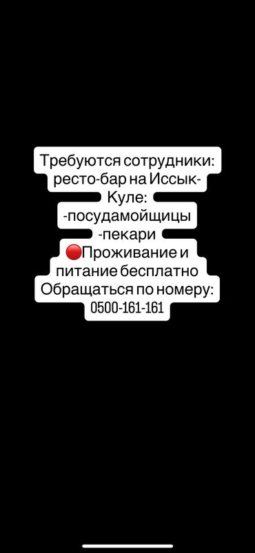 высокооплачиваемая работа за границей для мужчин: Талап кылынат Идиш жуучу, Төлөм Жума сайын
