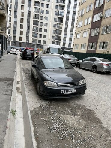 кия сепхия: Kia Spectra: 2006 г., 1.6 л, Механика, Бензин, Седан