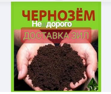 хово отсев: Чернозем перегной рыхлый чистый 
Песок Отсев смесь щебень гравий