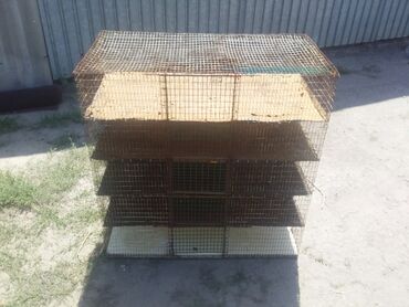 дикие птицы кыргызстана: Клетка для цыплят
цена 3500сом г.бишкек торг есть минимум