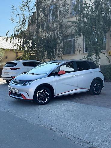 толка оптом: BYD Dolphin: 2022 г., Электромобиль, Хэтчбэк — 3
