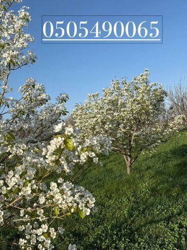 земельный участок первая линия: 74 соток, Для бизнеса, Красная книга