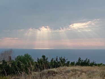 дом маявке: 100 соток, Айыл чарба үчүн, Сатып алуу-сатуу келишими, Кызыл китеп, Техпаспорт