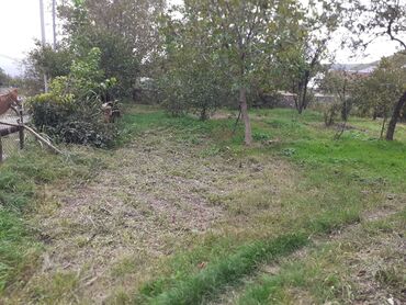 Torpaq sahələrinin satışı: 10 sot, Tikinti, Mülkiyyətçi, Kupça (Çıxarış) — 8