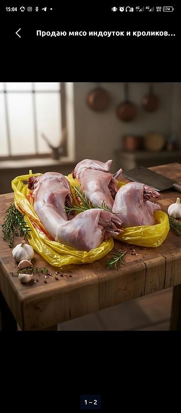 купить козье мясо: Мясо кролика, потрошённые тушки целиком. - Формат: целые тушки без — 1