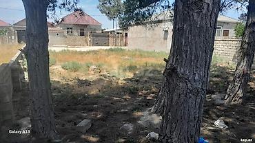 Torpaq: 5 sot, Kənd təsərrüfatı, Mülkiyyətçi, Kupça (Çıxarış) — 3
