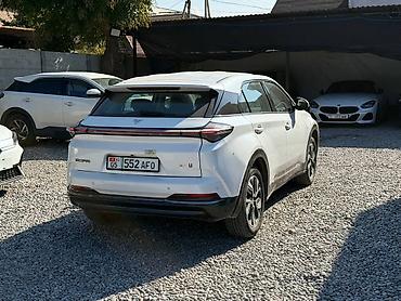 BYD: BYD : 2023 г., Автомат, Электромобиль, Кроссовер — 5