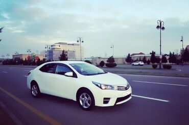 qafqaz modeli gelinlikler v Azərbaycan | TOY PALTARLARI: Toyota Corolla 1.6 l. 2013 | 200000 km